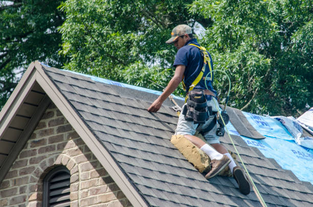 Best Roof Gutter Cleaning  in Wyandanch, NY